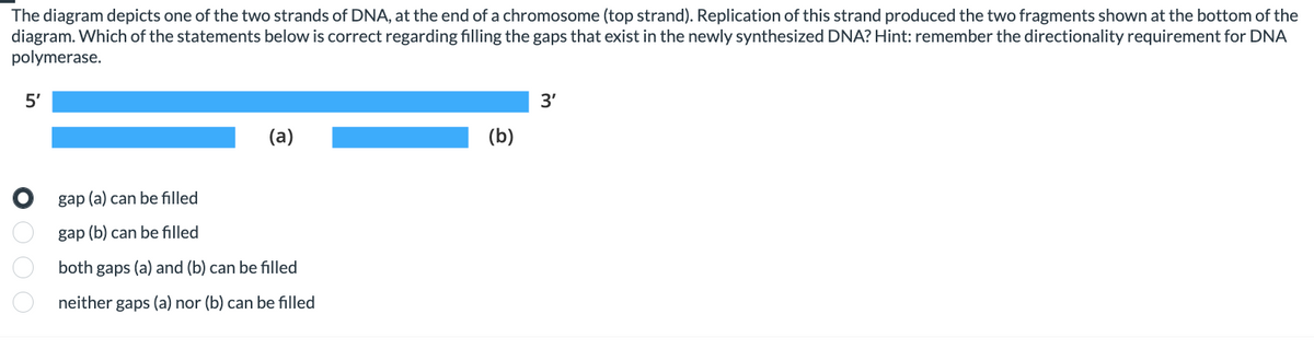 The diagram depicts one of the two strands of DNA, at the end of a chromosome (top strand). Replication of this strand produced the two fragments shown at the bottom of the
diagram. Which of the statements below is correct regarding filling the gaps that exist in the newly synthesized DNA? Hint: remember the directionality requirement for DNA
polymerase.
5'
0 0 0 0
(a)
gap (a) can be filled
gap (b) can be filled
both gaps (a) and (b) can be filled
neither
gaps (a) nor (b) can be filled
(b)
3'