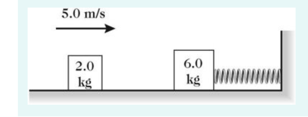 5.0 m/s
2.0
6.0
kg
kg
