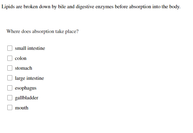 Lipids are broken down by bile and digestive enzymes before absorption into the body.
Where does absorption take place?
small intestine
colon
stomach
large intestine
esophagus
gallbladder
mouth