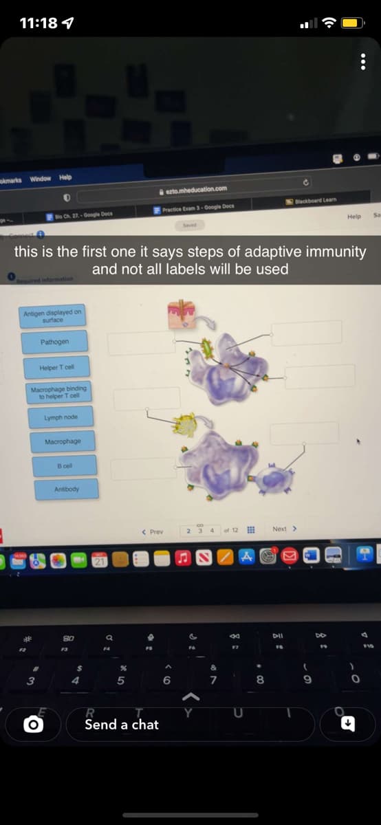 11:18
okmarks Window Help
B
Required information
Bio Ch. 27.-Google Docs
Antigen displayed on
surface
#
3
Helper T cell
Macrophage binding
to helper T cell
O
this is the first one it says steps of adaptive immunity
and not all labels will be used
Pathogen
Lymph node
Macrophage
B cell
Antibody
80
F3
$
4
a
H
F4
%
5
< Prev
f
ezto.mheducation.com
Practice Exam 3-Google Docs
R
Send a chat
A
Seved
6
2 3 4 of 12
Fo
&
7
Å
84
F7
U
8
Blackboard Learn
Next >
DII
FO
(
9
DD
Help Sa
F9
)
d
0
F10