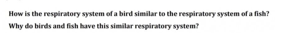 How is the respiratory system of a bird similar to the respiratory system of a fish?
Why do birds and fish have this similar respiratory system?
