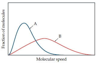 B
Molecular speed
Fraction of molecules
