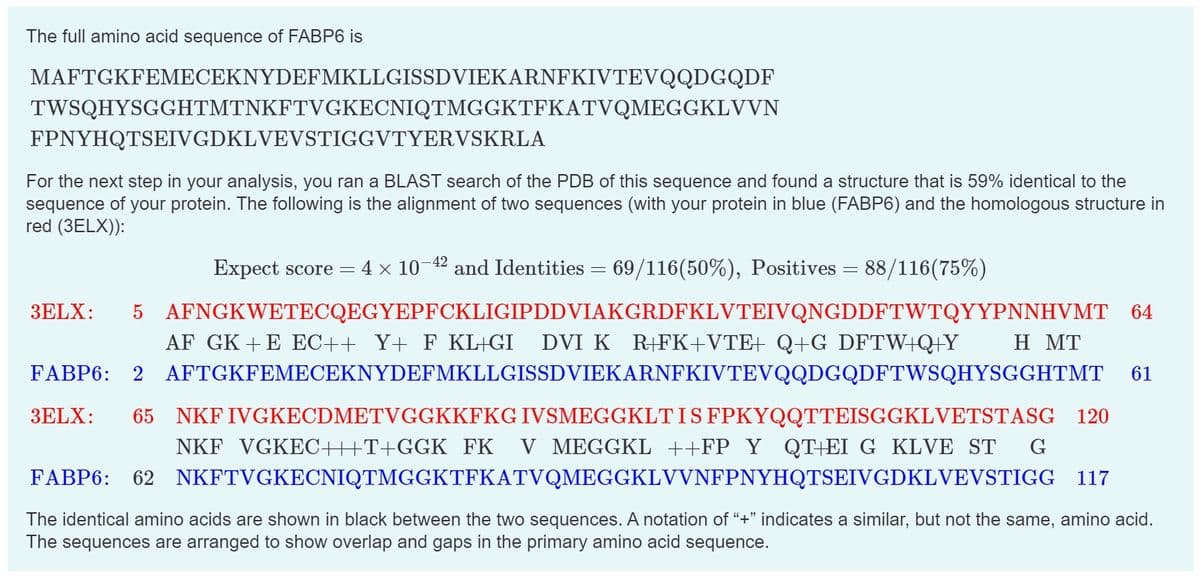 The full amino acid sequence of FABP6 is
MAFTGKFEMECEKNYDEFMKLLGISSDVIEKARNFKIVTEVQQDGQDF
TWSQHYSGGHTMTNKFTVGKECNIQTMGGKTFKATVQMEGGKLVVN
FPNYHQTSEIVGDKLVEVSTIGGVTYERVSKRLA
For the next step in your analysis, you ran a BLAST search of the PDB of this sequence and found a structure that is 59% identical to the
sequence of your protein. The following is the alignment of two sequences (with your protein in blue (FABP6) and the homologous structure in
red (3ELX)):
Expect score = : 4 × 10−4² and Identities = 69/116(50%), Positives = 88/116(75%)
3ELX: 5 AFNGKWETECQEGYEPFCKLIGIPDDVIAKGRDFKLVTEIVQNGDDFTWTQYYPNNHVMT 64
AF GK + E EC++ Y+ F KL GI DVI K R+FK+VTE+ Q+G DFTW+Q+Y
FABP6: 2 AFTGKFEMECEKNYDEFMKLLGISSDVIEKARNFKIVTEVQQDGQDFTWSQHYSGGHTMT 61
3ELX: 65 NKF IVGKECDMETVGGKKFKG IVSMEGGKLT IS FPKYQQTTEISGGKLVETSTASG 120
NKF VGKEC+++T+GGK FK V MEGGKL ++FP Y QT+EI G KLVE ST G
FABP6: 62 NKFTVGKECNIQTMGGKTFKATVQMEGGKLVVNFPNYHQTSEIVGDKLVEVSTIGG
H MT
117
The identical amino acids are shown in black between the two sequences. A notation of "+" indicates a similar, but not the same, amino acid.
The sequences are arranged to show overlap and gaps in the primary amino acid sequence.