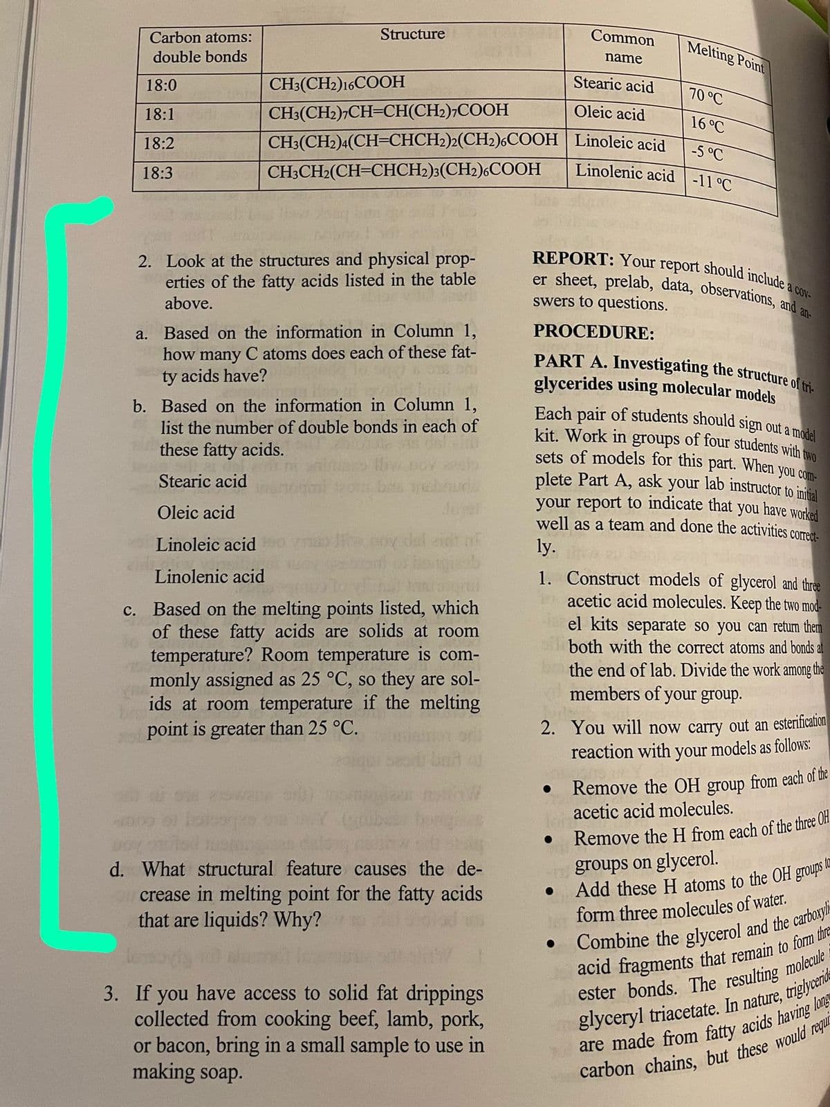 sets of models for this part. When you com-
REPORT: Your report should include a cov-
er sheet, prelab, data, observations, and an-
PART A. Investigating the structure of tri-
Each pair of students should sign out a model
Carbon atoms:
Structure
Common
Melting Point
double bonds
name
18:0
CH3(CH2)16COOH
Stearic acid
70 °C
18:1
CH3(CH2);CH=CH(CH2)¬COOH
Oleic acid
16°C
18:2
CH:(CH2)4(CH=CHCH2)2(CH2)6COOH Linoleic acid
-5 °C
CH3CH2(CH=CHCH2):(CH2)6COOH
Linolenic acid -11 °C
18:3
2. Look at the structures and physical prop-
erties of the fatty acids listed in the table
above.
swers to questions.
a. Based on the information in Column 1,
how
PROCEDURE:
many
C atoms does each of these fat-
ty acids have?
glycerides using molecular models
b. Based on the information in Column 1,
list the number of double bonds in each of
kit. Work in groups of four students with
these fatty acids.
plete Part A, ask your lab instructor to initial
your report to indicate that you have worked
well as a team and done the activities corred-
Stearic acid
Oleic acid
Linoleic acid
oy del eid nf
ly.
1. Construct models of glycerol and three
acetic acid molecules. Keep the two mod-
el kits separate so you can return them
both with the correct atoms and bonds at
the end of lab. Divide the work among the
members of your group.
Linolenic acid
c. Based on the melting points listed, which
of these fatty acids are solids at room
temperature? Room temperature is com-
monly assigned as 25 °C, so they are sol-
ids at room temperature if the melting
point is greater than 25 °C.
2. You will now carry out an esterification
reaction with your models as follows:
Remove the OH group from each of the
acetic acid molecules.
Remove the H from each of the three On.
groups on glycerol.
d. What structural feature causes the de-
crease in melting point for the fatty acids
that are liquids? Why?
form three molecules of water.
3. If you have access to solid fat drippings
collected from cooking beef, lamb, pork,
or bacon, bring in a small sample to use in
making soap.
glyceryl triacetate. In nature, triglye
