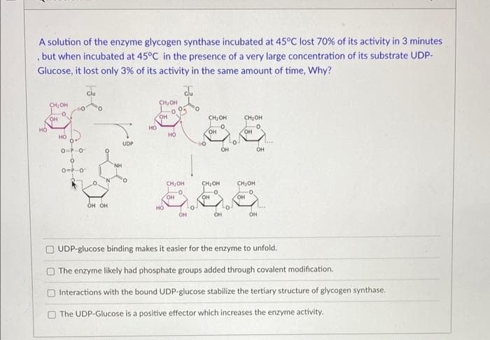 A solution of the enzyme glycogen synthase incubated at 45°C lost 70% of its activity in 3 minutes
„but when incubated at 45°C in the presence of a very large concentration of its substrate UDP-
Glucose, it lost only 3% of its activity in the same amount of time, Why?
Clu
CH,OH
CH, OH
HO,
он
CH;OH
CH2OH
но
HO
он
HO
UDP
O-P-0
OH
OH
NH
o--o
CH, OH
CH2OH
CH,OH
OH OH
HO
UDP-glucose binding makes it easier for the enzyme to unfold.
The enzyme likely had phosphate groups added through covalent modification.
O Interactions with the bound UDP-glucose stabilize the tertiary structure of glycogen synthase.
The UDP-Glucose is a positíve effector which increases the enzyme activity.
