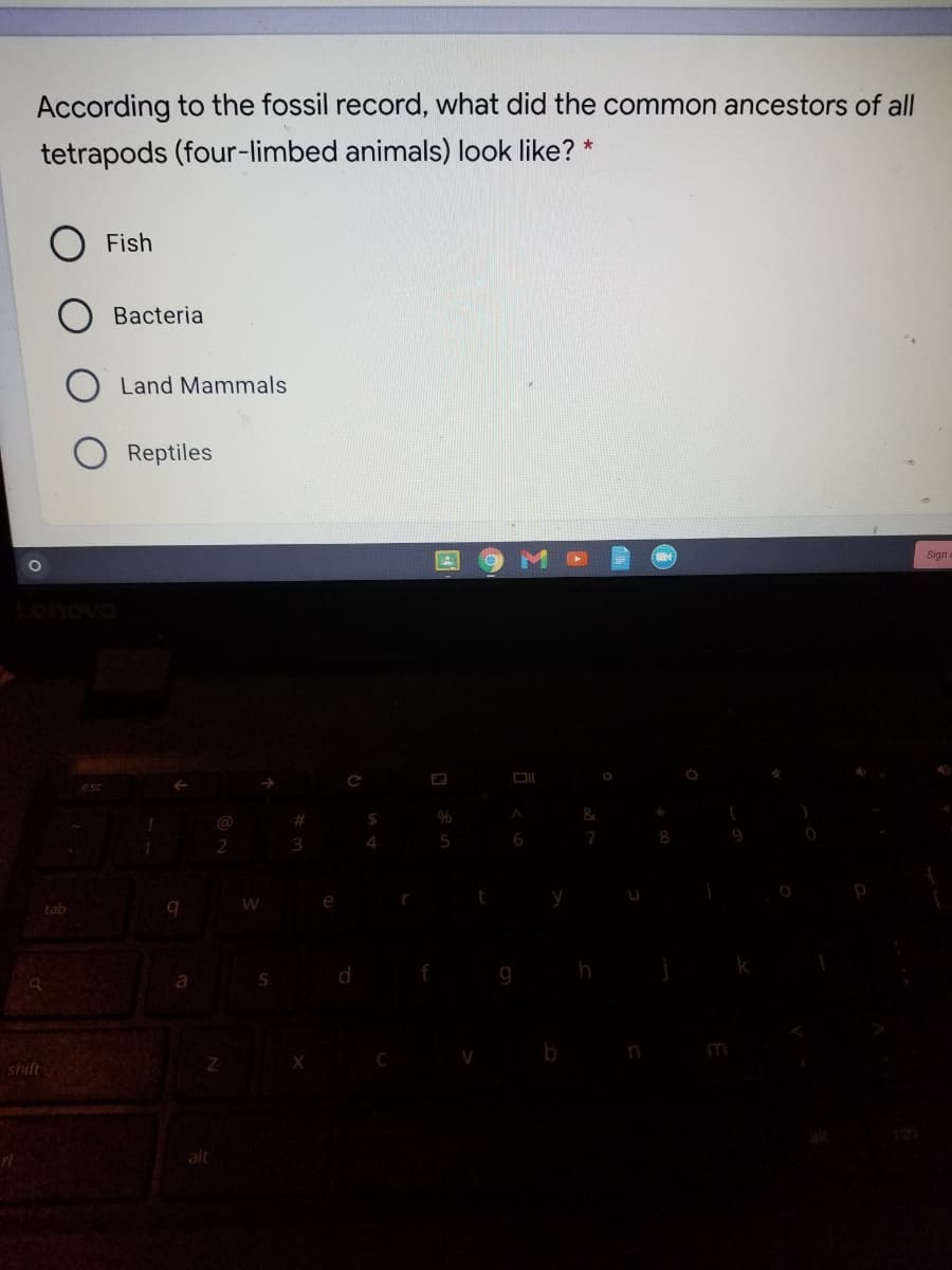 According to the fossil record, what did the common ancestors of all
tetrapods (four-limbed animals) look like? *
Fish
Bacteria
Land Mammals
Reptiles
Sign
end
@
%23
5
6.
tab
g
m
shift
alt
