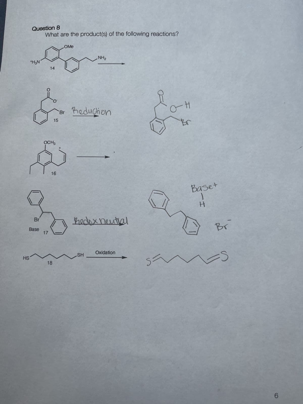 HS
Question 8
What are the product(s) of the following reactions?
+H3N
Br
Base
14
17
ỌCH3
15
16
18
OME
NH₂
"Br Reduction
Redox neutral
SH
Oxidation
O
S=
o-H
Br
~
Baset
1
H
Br
S
6
