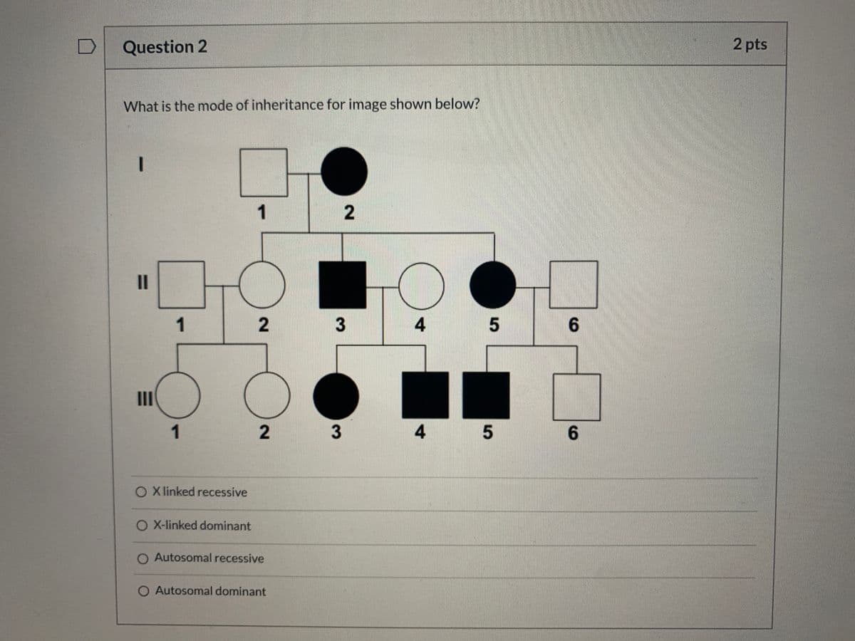 Question 2
2 pts
What is the mode of inheritance for image shown below?
1
1
3
4
6.
II
1
3
4
6.
O Xlinked recessive
O X-linked dominant
O Autosomal recessive
O Autosomal dominant
2.
2.
2.
