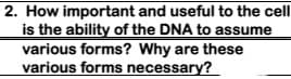 2. How important and useful to the cell
is the ability of the DNA to assume
various forms? Why are these
various forms necessary?
