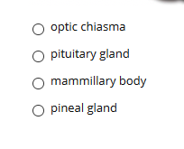 optic chiasma
O pituitary gland
mammillary body
O pineal gland
