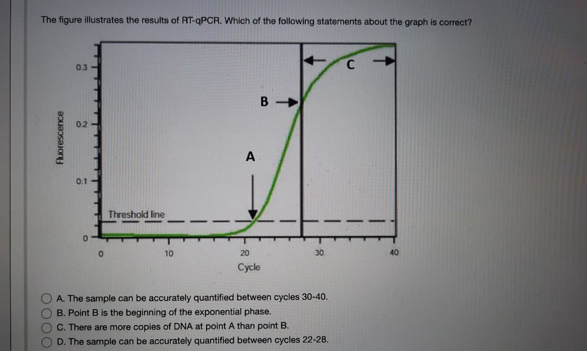 The figure illustrates the results of RT-qPCR. Which of the following statements about the graph is correct?
0.3
0.2
A
0.1
Threshold line
10
20
30
40
Cycle
A. The sample can be accurately quantified between cycles 30-40.
B. Point B is the beginning of the exponential phase.
C. There are more copies of DNA at point A than point B.
D. The sample can be accurately quantified between cycles 22-28.
Fluorescence

