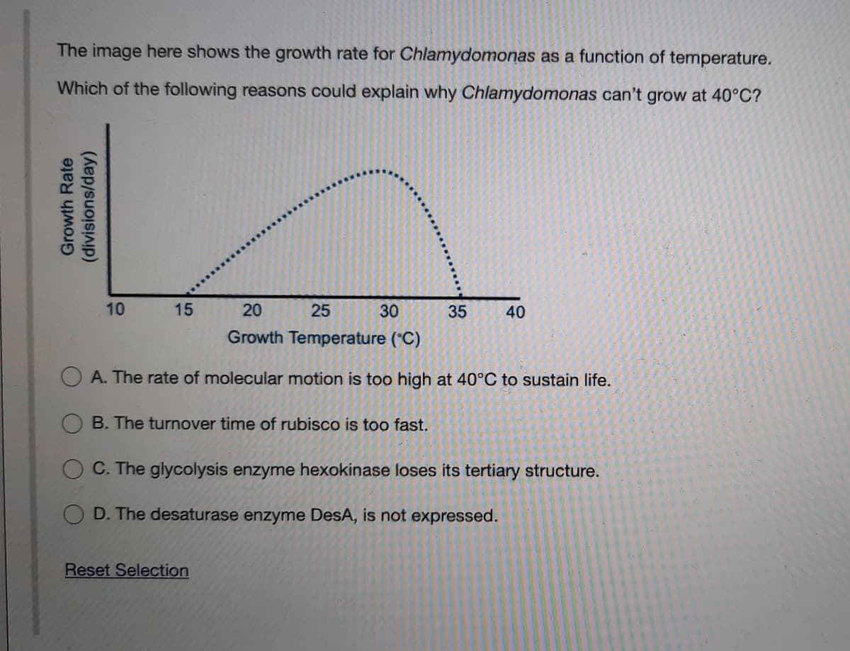 The image here shows the growth rate for Chlamydomonas as a function of temperature.
Which of the following reasons could explain why Chlamydomonas can't grow at 40°C?
10
15
20
25
30
35
40
Growth Temperature (*C)
A. The rate of molecular motion is too high at 40°C to sustain life.
B. The turnover time of rubisco is too fast.
O C. The glycolysis enzyme hexokinase loses its tertiary structure.
D. The desaturase enzyme DesA, is not expressed.
Reset Selection
Growth Rate
(divisions/day)
