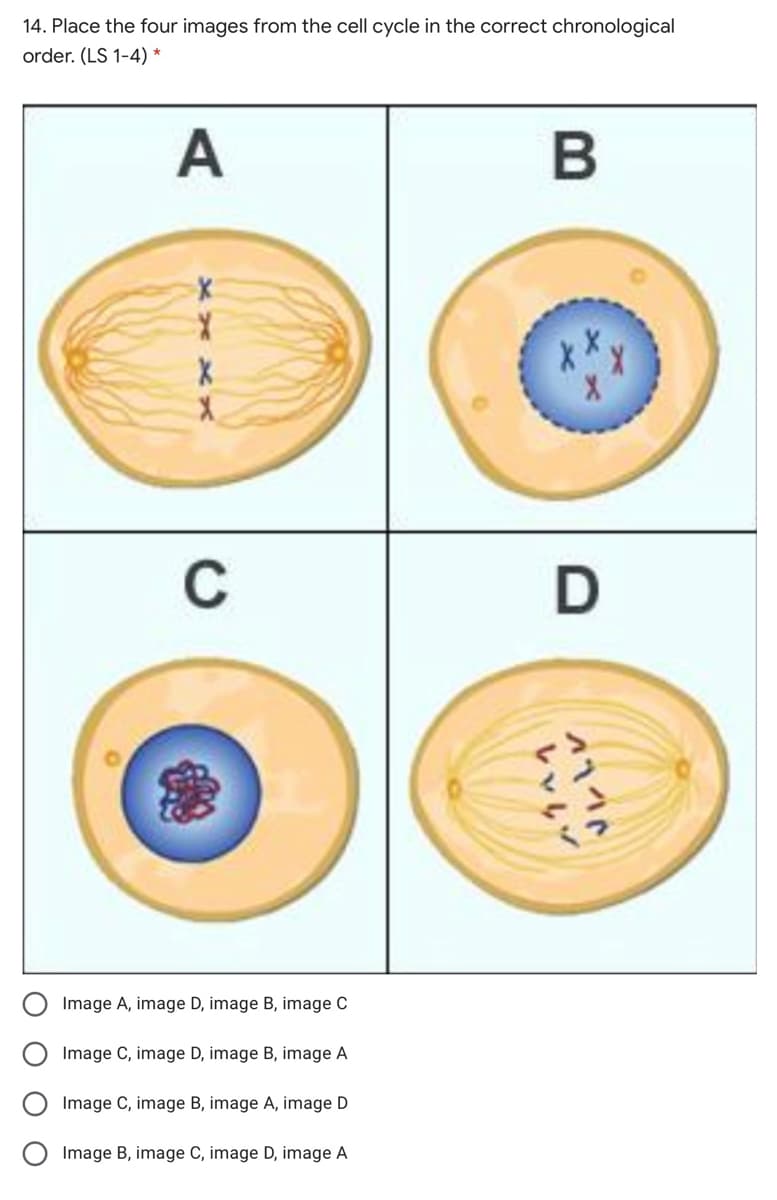 14. Place the four images from the cell cycle in the correct chronological
order. (LS 1-4) *
A
C
D
Image A, image D, image B, image C
Image C, image D, image B, image A
Image C, image B, image A, image D
Image B, image C, image D, image A
A11ト
レいい
ООО О

