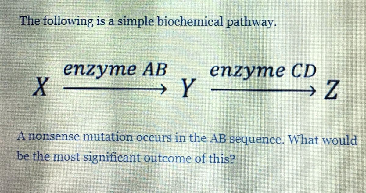 The following is a simple biochemical pathway.
enzyme AB
enzyme CD
X
→ Y
Z
A nonsense mutation occurs in the AB sequence. What would
be the most significant outcome of this?
