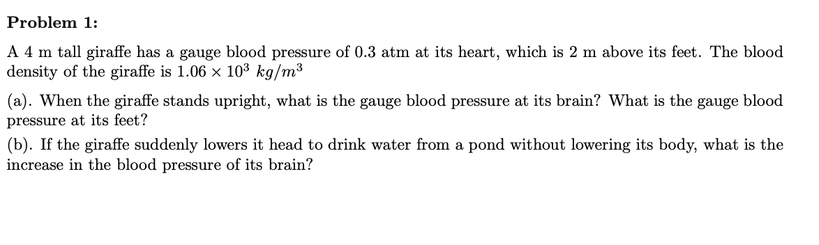 Problem 1:
A 4 m tall giraffe has a gauge blood pressure of 0.3 atm at its heart, which is 2 m above its feet. The blood
density of the giraffe is 1.06 × 10³ kg/m³
(a). When the giraffe stands upright, what is the gauge blood pressure at its brain? What is the
gauge blood
pressure at its feet?
(b). If the giraffe suddenly lowers it head to drink water from a pond without lowering its body, what is the
increase in the blood pressure of its brain?
