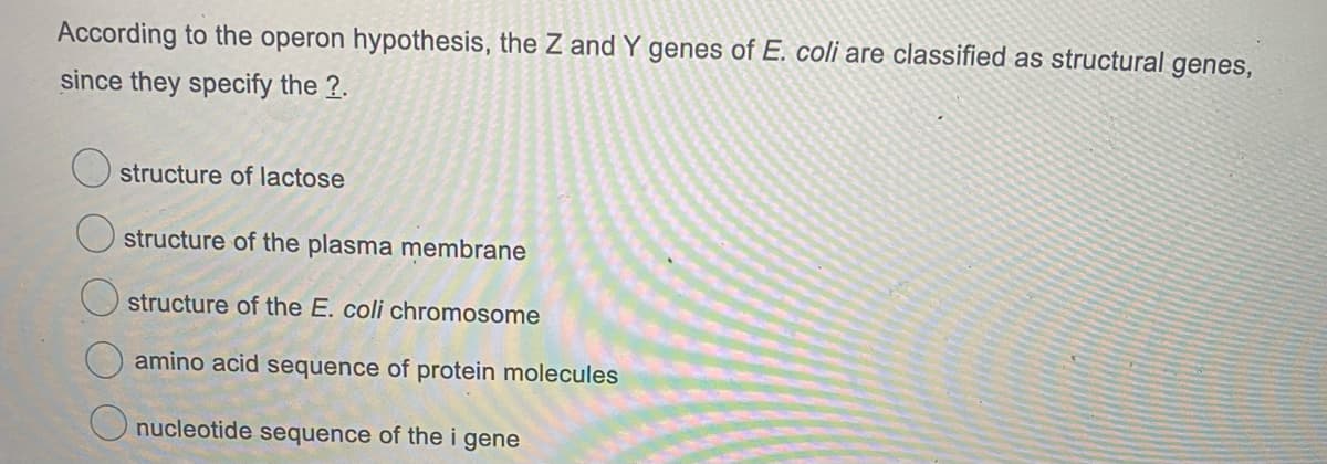 According to the operon hypothesis, the Z and Y genes of E. coli are classified as structural genes,
since they specify the ?.
structure of lactose
O structure of the plasma membrane
O structure of the E. coli chromosome
amino acid sequence of protein molecules
O nucleotide sequence of the i gene
