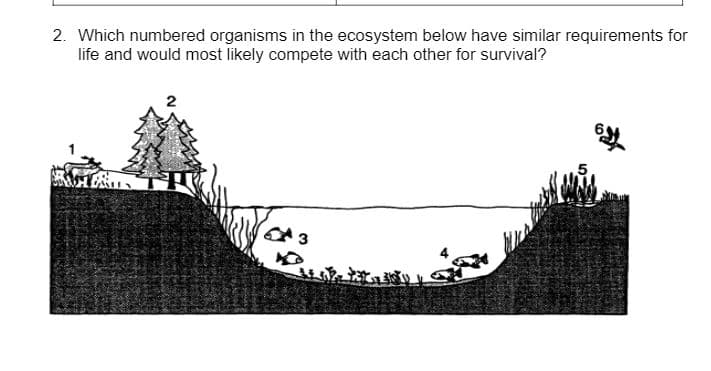 2. Which numbered organisms in the ecosystem below have similar requirements for
life and would most likely compete with each other for survival?
