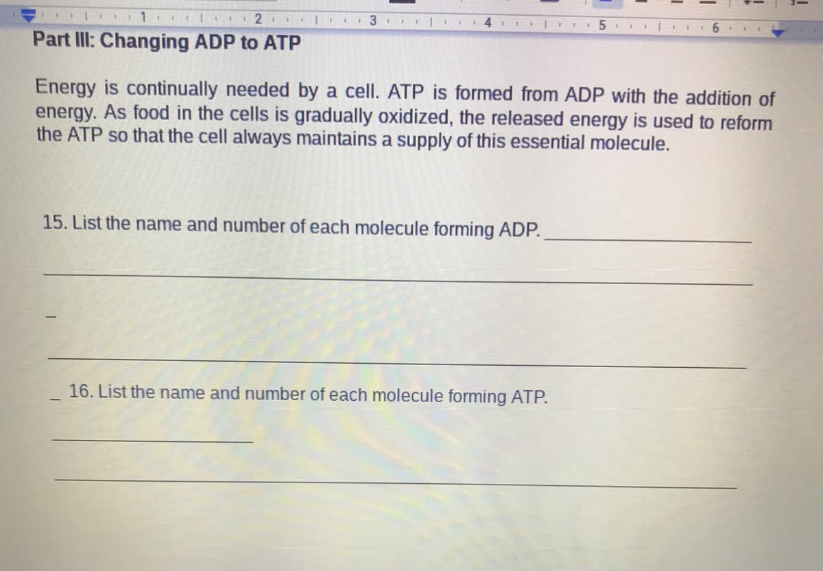 II II6
Part III: Changing ADP to ATP
Energy is continually needed by a cell. ATP is formed from ADP with the addition of
energy. As food in the cells is gradually oxidized, the released energy is used to reform
the ATP so that the cell always maintains a supply of this essential molecule.
15. List the name and number of each molecule forming ADP.
16. List the name and number of each molecule forming ATP.
