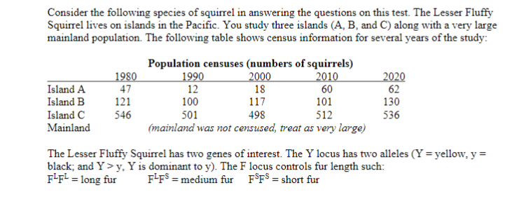 Consider the following species of squirrel in answering the questions on this test. The Lesser Fluffy
Squirrel lives on islands in the Pacific. You study three islands (A, B, and C) along with a very large
mainland population. The following table shows census information for several years of the study:
Island A
Island B
Island C
1980
47
121
Population censuses (numbers of squirrels)
2000
18
117
1990
12
100
501
2010
60
101
2020
62
130
546
498
512
536
Mainland
(mainland was not censused, treat as very large)
The Lesser Fluffy Squirrel has two genes of interest. The Y locus has two alleles (Y = yellow, y =
black; and Y> y, Y is dominant to y).. The F locus controls fur length such:
F-F² = long fur
F-F$ = medium fur F$F$ = short fur
%3D
