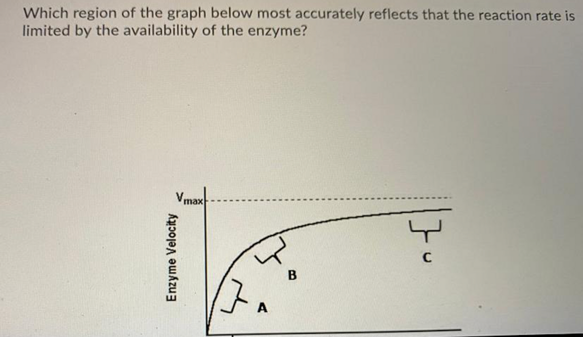 Which region of the graph below most accurately reflects that the reaction rate is
limited by the availability of the enzyme?
max
B
A
Enzyme Velocity
