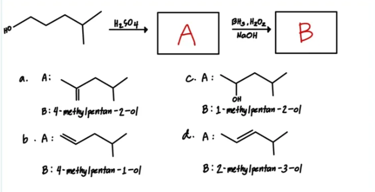 HO
a.
A:
H₂504
B: 4-methylpentan-2-ol
b. A:
B: 4-methylpentan-1-ol
A
C. A:
BH3, H₂0₂
NaOH
d. A:
B
OH
B:1-methylpentan-2-ol
B: 2-methylpentan-3-ol