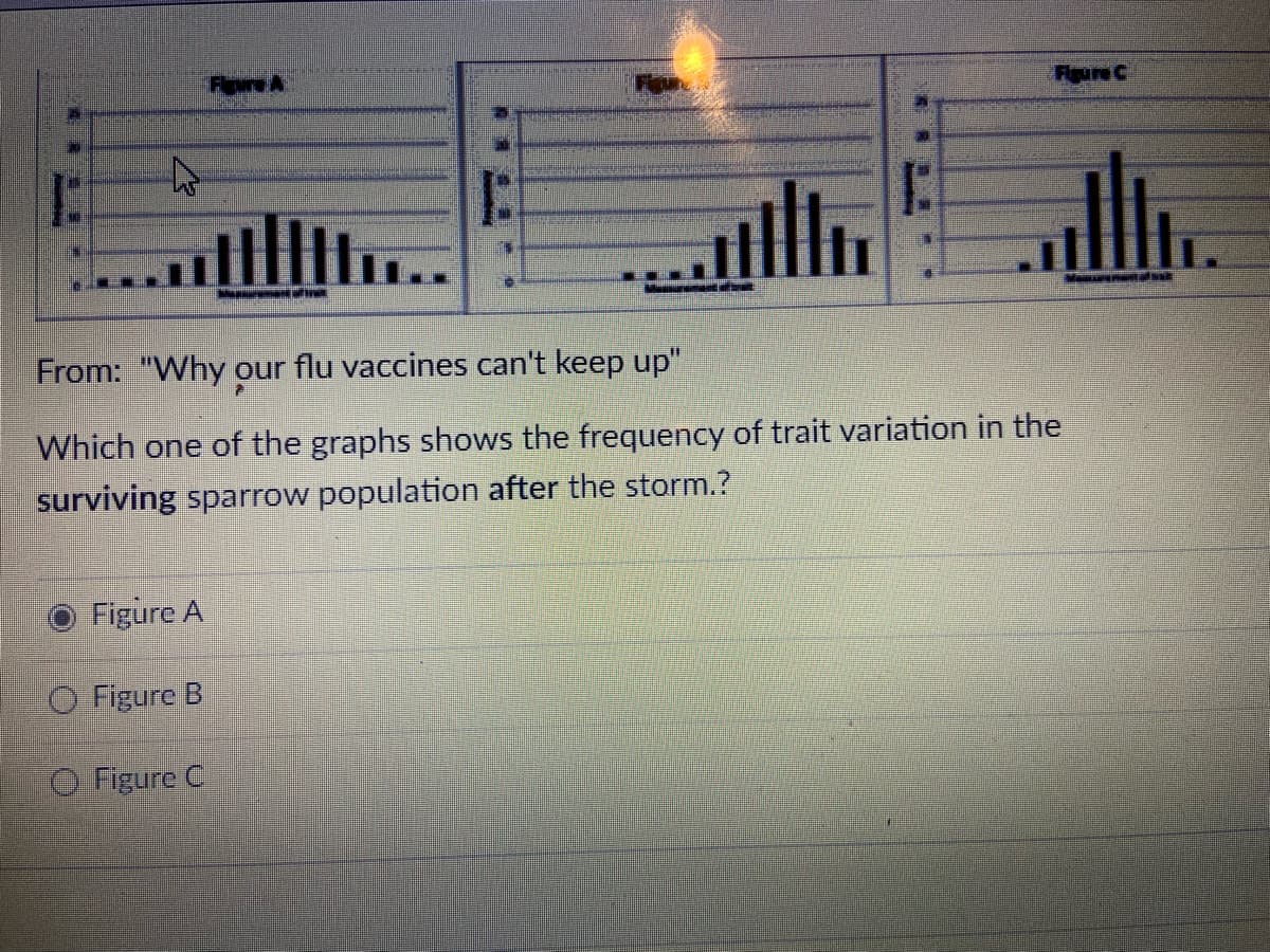 Fligure A
Figure C
3:
From: "Why our flu vaccines can't keep up"
Which one of the graphs shows the frequency of trait variation in the
surviving sparrow population after the storm.?
Figure A
O Figure B
e Figure C
