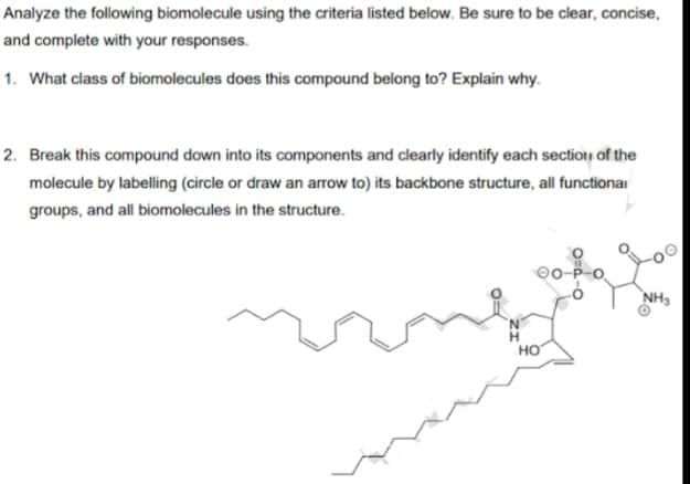 Analyze the following biomolecule using the criteria listed below. Be sure to be clear, concise,
and complete with your responses.
1. What class of biomolecules does this compound belong to? Explain why.
2. Break this compound down into its components and clearly identify each section of the
molecule by labelling (circle or draw an arrow to) its backbone structure, all functionar
groups, and all biomolecules in the structure.
00-P-o
NH3
но
