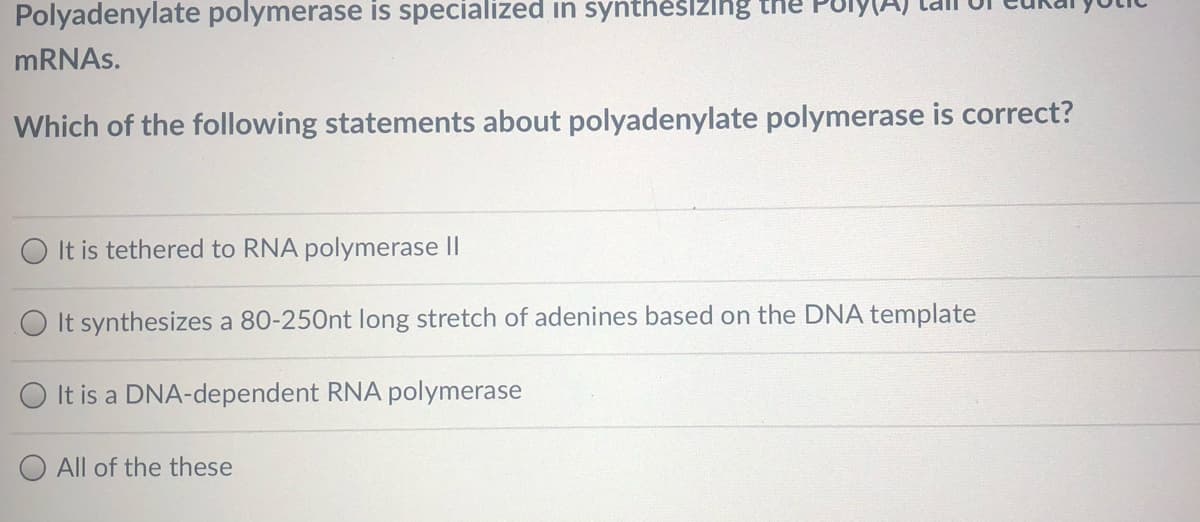 Polyadenylate polymerase is specialized in synthesizlng the Puly
MRNAS.
Which of the following statements about polyadenylate polymerase is correct?
It is tethered to RNA polymerase II
O It synthesizes a 80-250nt long stretch of adenines based on the DNA template
It is a DNA-dependent RNA polymerase
All of the these
