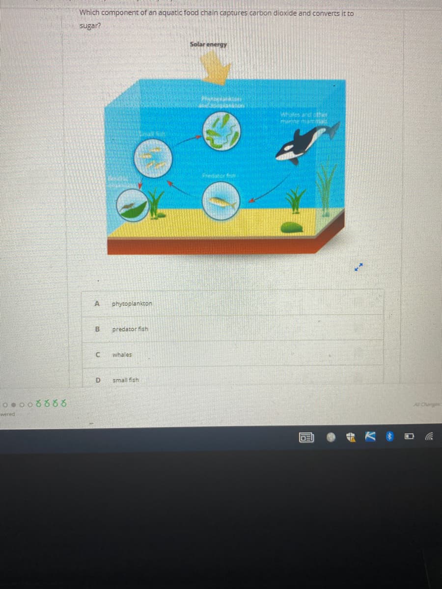 Which component of an aquatic food chain captures carbon dioxide and converts it to
sugar?
Solar energy
whules and othe
harine asad
Peator
A
phytoplankton
predator fish
whales
D
small fish
AU Chags
wered
DE
