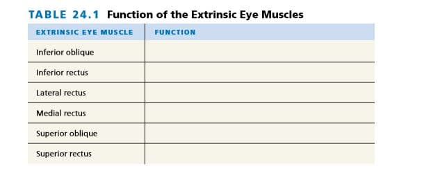 TABLE 24.1 Function of the Extrinsic Eye Muscles
EXTRINSIC EYE MUSCLE
FUNCTION
Inferior oblique
Inferior rectus
Lateral rectus
Medial rectus
Superior oblique
Superior rectus
