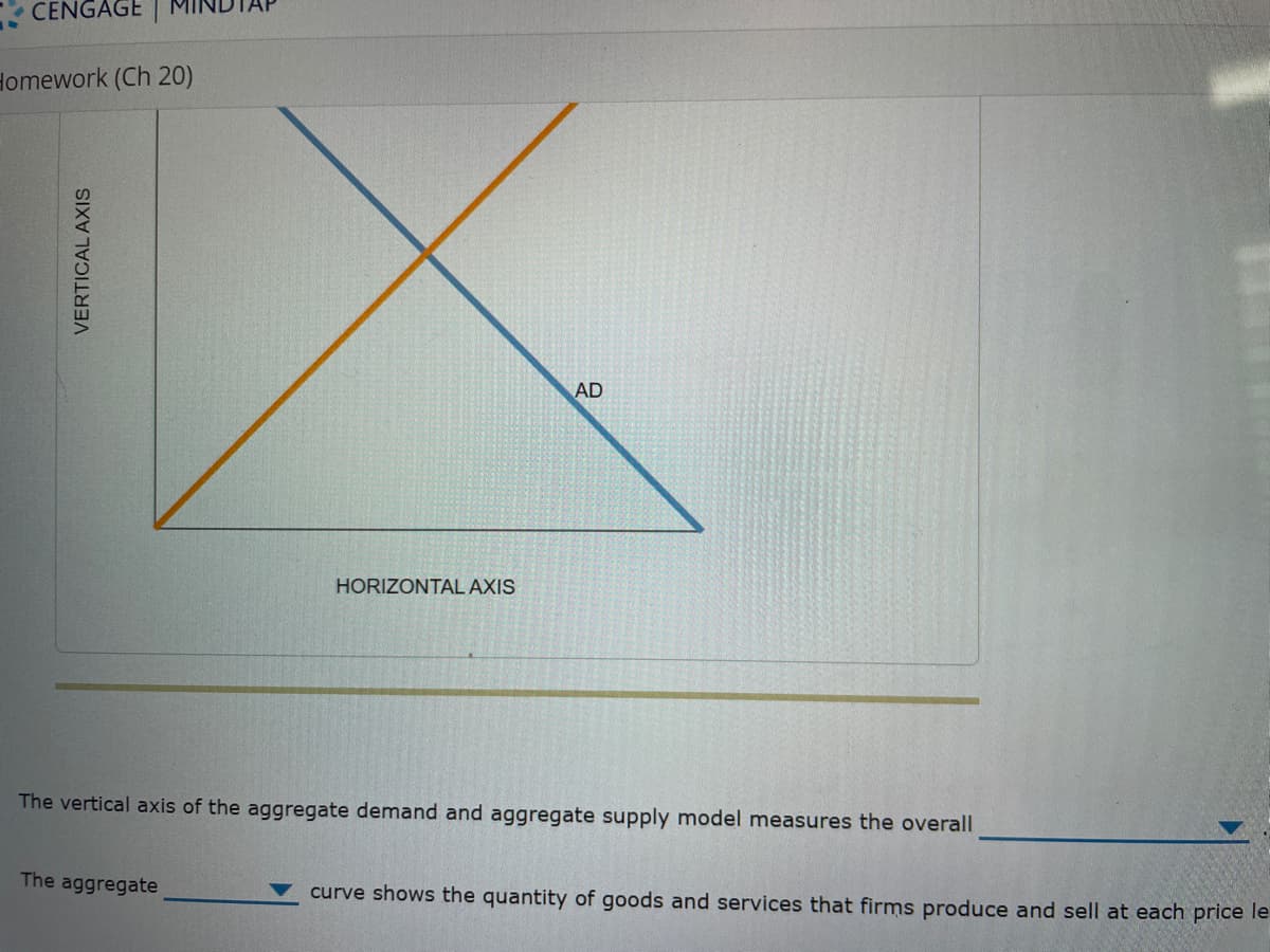 CENGAGE
Homework (Ch 20)
VERTICAL AXIS
AD
HORIZONTAL AXIS
The vertical axis of the aggregate demand and aggregate supply model measures the overall
The aggregate
curve shows the quantity of goods and services that firms produce and sell at each price le