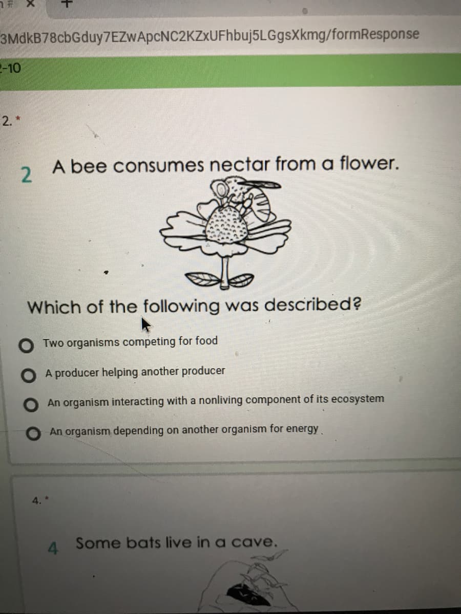 3MdkB78cbGduy7EZWApcNC2KZxUFhbuj5LGgsXkmg/formResponse
--10
2. *
A bee consumes nectar from a flower.
Which of the following was described?
Two organisms competing for food
A producer helping another producer
An organism interacting with a nonliving component of its ecosystem
An organism depending on another organism for energy
4.
4 Some bats live in a cave.
