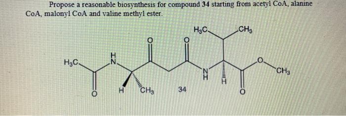 Propose a reasonable biosynthesis for compound 34 starting from acetyl CoA, alanine
CoA, malonyl CoA and valine methyl ester.
H3C.
CH
H3C
CH3
CH3
34
