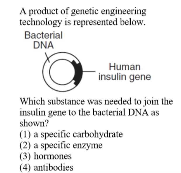 A product of genetic engineering
technology is represented below.
Bacterial
DNA
Human
insulin gene
Which substance was needed to join the
insulin gene to the bacterial DNA as
shown?
(1) a specific carbohydrate
(2) a specific enzyme
(3) hormones
(4) antibodies
