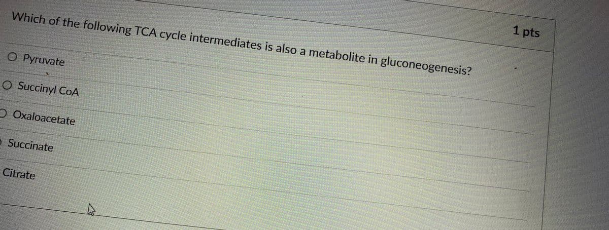 1 pts
Which of the following TCA cycle intermediates is also a metabolite in gluconeogenesis?
O Pyruvate
O Succinyl CoA
O Oxaloacetate
o Succinate
Citrate
