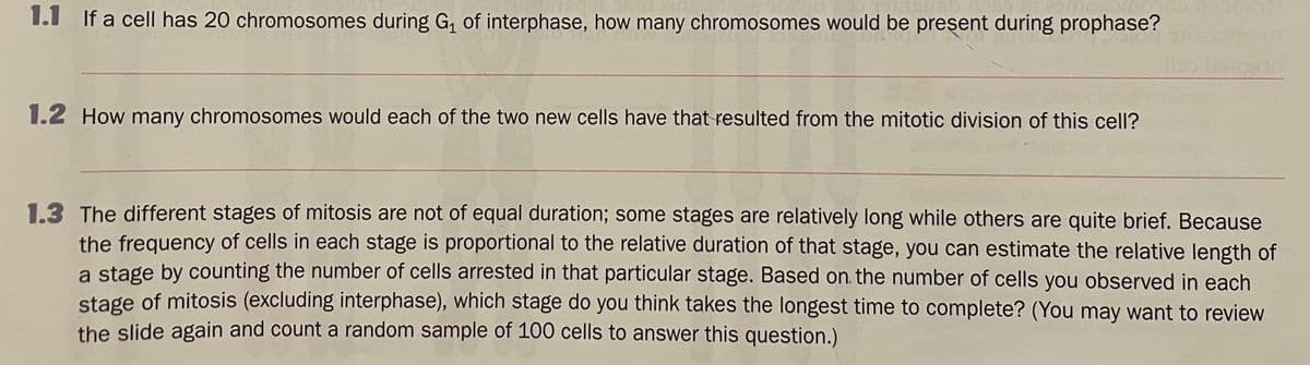 1.1 If a cell has 20 chromosomes during G, of interphase, how many chromosomes would be present during prophase?
1.2 How many chromosomes would each of the two new cells have that resulted from the mitotic division of this cell?
1.3 The different stages of mitosis are not of equal duration; some stages are relatively long while others are quite brief. Because
the frequency of cells in each stage is proportional to the relative duration of that stage, you can estimate the relative length of
a stage by counting the number of cells arrested in that particular stage. Based on. the number of cells you observed in each
stage of mitosis (excluding interphase), which stage do you think takes the longest time to complete? (You may want to review
the slide again and count a random sample of 100 cells to answer this question.)
