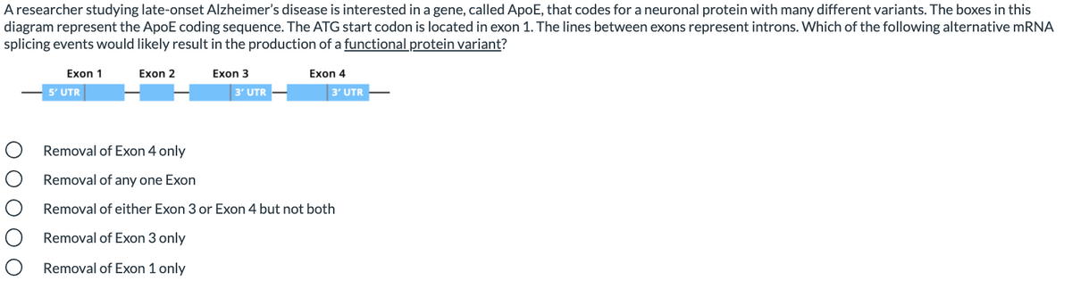 A researcher studying late-onset Alzheimer's disease is interested in a gene, called ApoE, that codes for a neuronal protein with many different variants. The boxes in this
diagram represent the ApoE coding sequence. The ATG start codon is located in exon 1. The lines between exons represent introns. Which of the following alternative mRNA
splicing events would likely result in the production of a functional protein variant?
Exon 1
Exon 2
Exon 3
Exon 4
5' UTR
3' UTR
3' UTR
Removal of Exon 4 only
Removal of any one Exon
Removal of either Exon 3 or Exon 4 but not both
Removal of Exon 3 only
Removal of Exon 1 only
