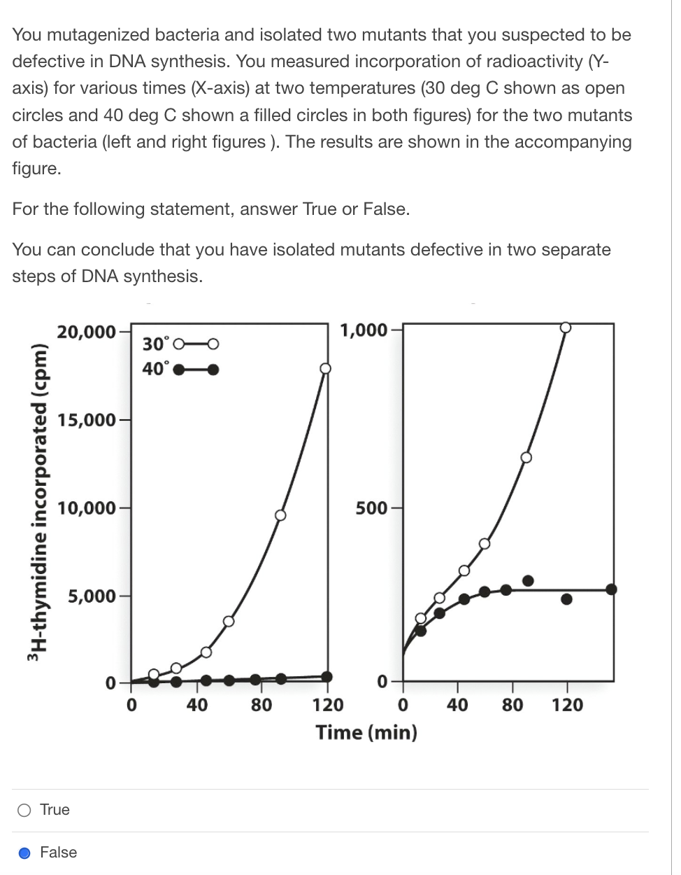 You mutagenized bacteria and isolated two mutants that you suspected to be
defective in DNA synthesis. You measured incorporation of radioactivity (Y-
axis) for various times (X-axis) at two temperatures (30 deg C shown as open
circles and 40 deg C shown a filled circles in both figures) for the two mutants
of bacteria (left and right figures). The results are shown in the accompanying
figure.
For the following statement, answer True or False.
You can conclude that you have isolated mutants defective in two separate
steps of DNA synthesis.
20,000
1,000
30°O
40°
15,000-
10,000-
500
5,000-
0
120
0
Time (min)
³H-thymidine incorporated (cpm)
O True
● False
0
40
80
40 80 120