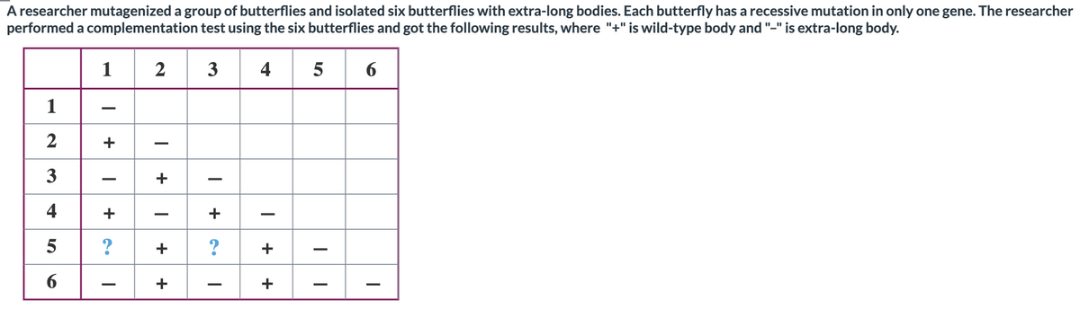 A researcher mutagenized a group of butterflies and isolated six butterflies with extra-long bodies. Each butterfly has a recessive mutation in only one gene. The researcher
performed a complementation test using the six butterflies and got the following results, where "+" is wild-type body and "-" is extra-long body.
1
2
3
4
1
+
3
4
+
-
?
?
+
-
+
+
+
+ +
