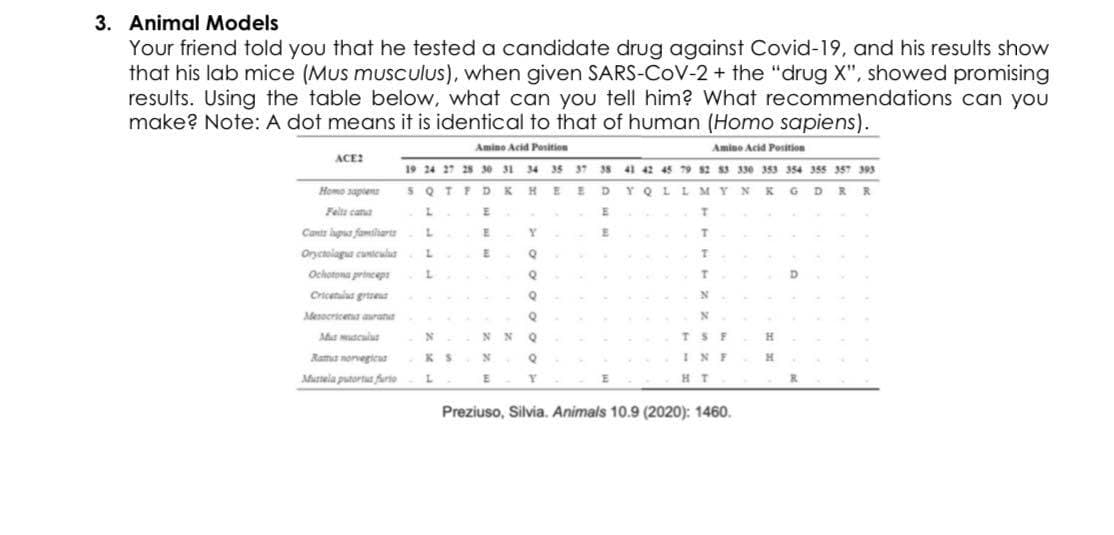 3. Animal Models
Your friend told you that he tested a candidate drug against Covid-19, and his results show
that his lab mice (Mus musculus), when given SARS-CoV-2 + the "drug X", showed promising
results. Using the table below, what can you tell him? What recommendations can yOU
make? Note: A dot means it is identical to that of human (Homo sapiens).
Amino Acid Position
Amine Acid Position
ACE?
19 24 27 25 30 31 34 35 37 38 41 42 45 79 s2 53 330 3s3 354 355 357 393
SQTFD K HEE DYQL LMY
Homo sapien
R R
Felta cana
L.
E
Cants apus familiarts
Y
T.
Oryctolagua cuntcular
Ochotona princep:
Cricetlas grtet
Mesocricetut arant
N N Q
TSF
Rama norvegteut
INF
H.
Aastela putortus furio
L.
Preziuso, Silvia. Animals 10.9 (2020): 1460.
