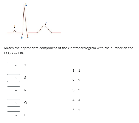the
3
2
>
Match the appropriate component of the electrocardiogram with the number on the
ECG aka EKG.
T
S
R
Q
1. 1
2. 2
3. 3
4. 4
5. 5