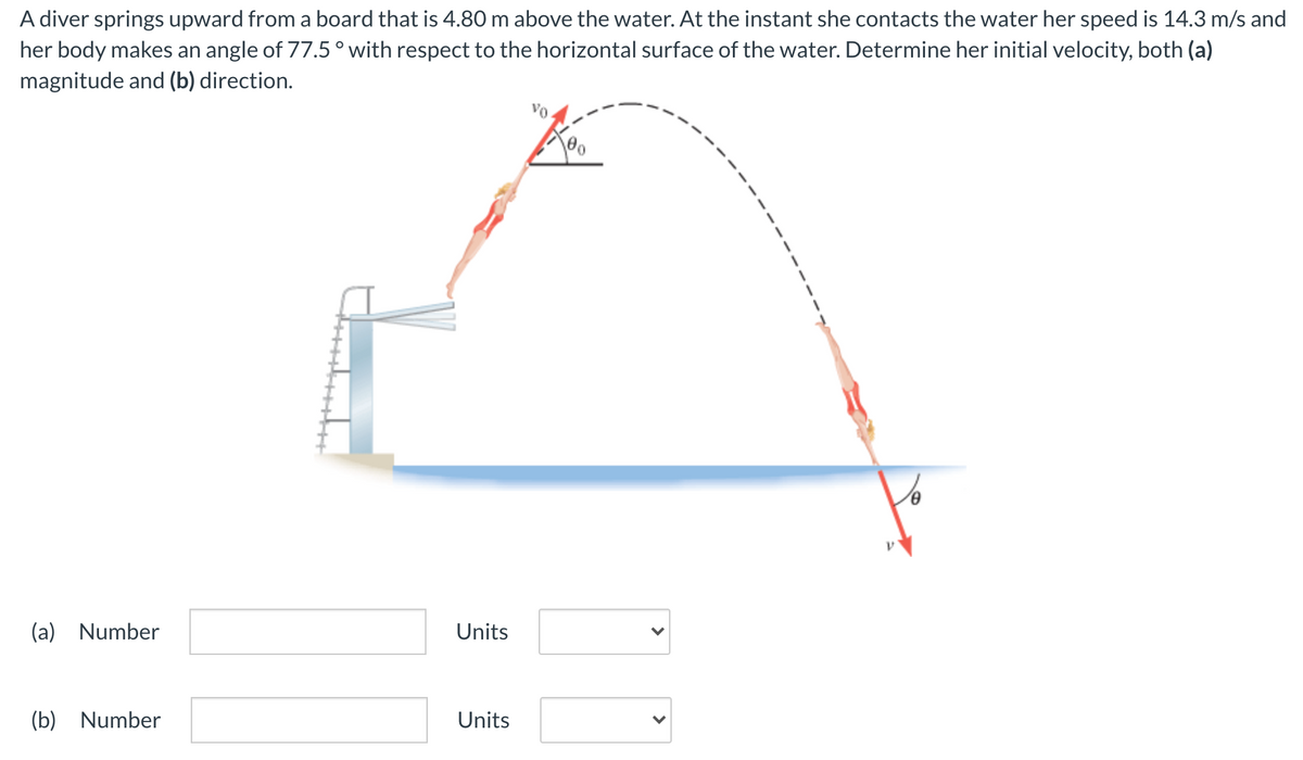 A diver springs upward from a board that is 4.80 m above the water. At the instant she contacts the water her speed is 14.3 m/s and
her body makes an angle of 77.5 ° with respect to the horizontal surface of the water. Determine her initial velocity, both (a)
magnitude and (b) direction.
(a) Number
Units
(b) Number
Units
>
