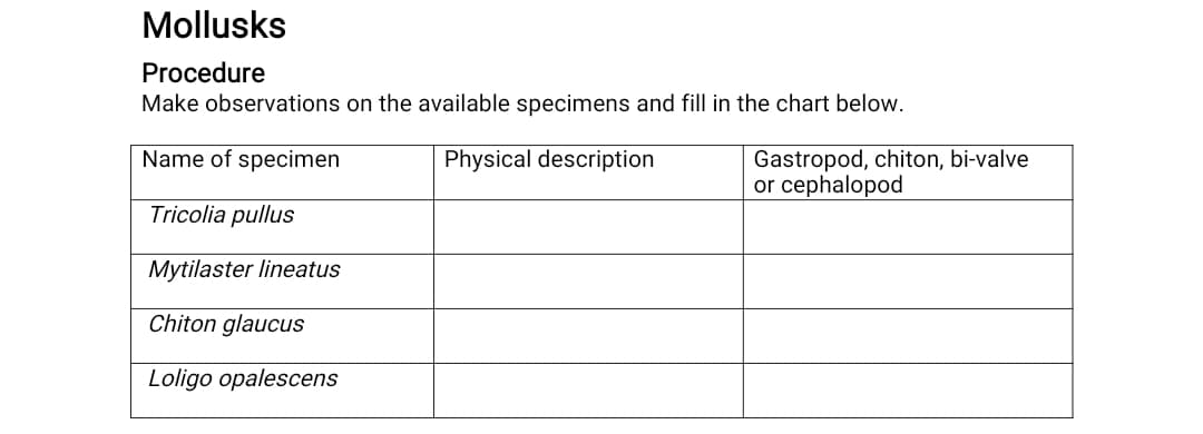 Mollusks
Procedure
Make observations on the available specimens and fill in the chart below.
Gastropod, chiton, bi-valve
or cephalopod
Name of specimen
Physical description
Tricolia pullus
Mytilaster lineatus
Chiton glaucus
Loligo opalescens

