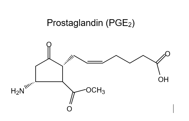H₂N
Prostaglandin (PGE₂)
O
-OCH3
OH