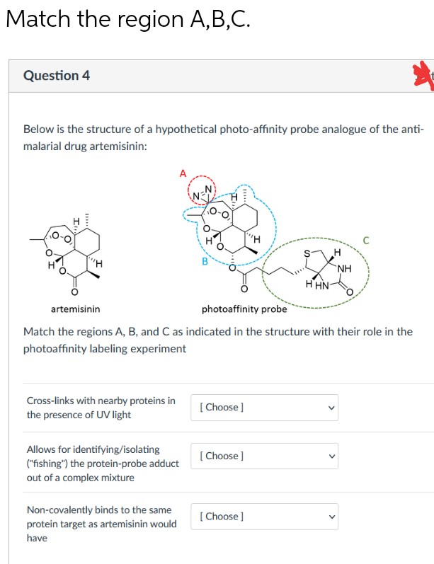Match the region A,B,C.
Question 4
Below is the structure of a hypothetical photo-affinity probe analogue of the anti-
malarial drug artemisinin:
H
NH
H'HN-
artemisinin
photoaffinity
be
Match the regions A, B, and C as indicated in the structure with their role in the
photoaffinity labeling experiment
Cross-links with nearby proteins in
the presence of UV light
[ Choose ]
Allows for identifying/isolating
("fishing") the protein-probe adduct
[ Choose ]
out of a complex mixture
Non-covalently binds to the same
[ Choose ]
protein target as artemisinin would
have
>

