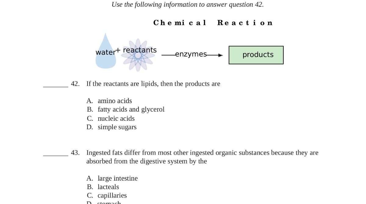 Use the following information to answer question 42.
Che mi cal
water+ reactants
enzymes
A. large intestine
B. lacteals
C. capillaries
D stomach
Reaction
42. If the reactants are lipids, then the products are
A. amino acids
B. fatty acids and glycerol
C. nucleic acids
D. simple sugars
products
43. Ingested fats differ from most other ingested organic substances because they are
absorbed from the digestive system by the