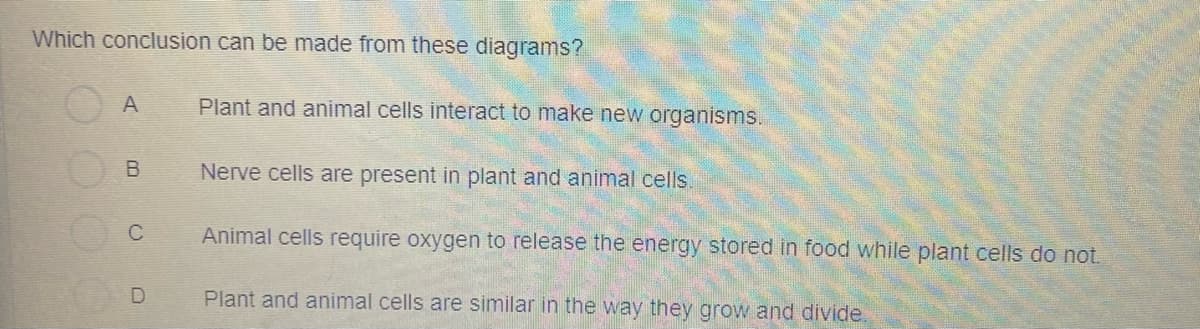 Which conclusion can be made from these diagrams?
A
Plant and animal cells interact to make new organisms.
B
Nerve cells are present in plant and animal cells.
C
Animal cells require oxygen to release the energy stored in food while plant cells do not.
Plant and animal cells are similar in the way they grow and divide.
