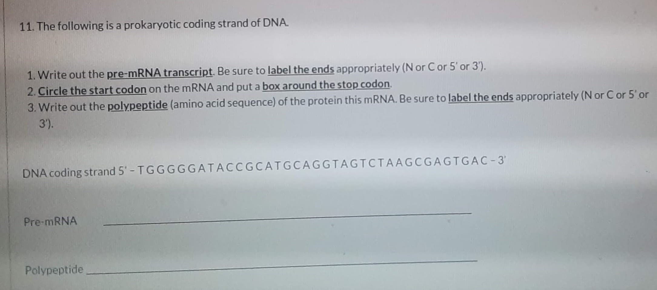 11. The following is a prokaryotic coding strand of DNA.
1. Write out the pre-MRNA transcript. Be sure to label the ends appropriately (N or C or 5' or 3').
2. Circle the start codon on the MRNA and put a box around the stop codon.
3. Write out the polypeptide (amino acid sequence) of the protein this MRNA. Be sure to label the ends appropriately (N or C or 5'or
3').
DNA coding strand 5'- TGGGGGATACCGCATGCAGGTAGTCTAAGCGAGTGAC - 3'
Pre-mRNA
Polypeptide
