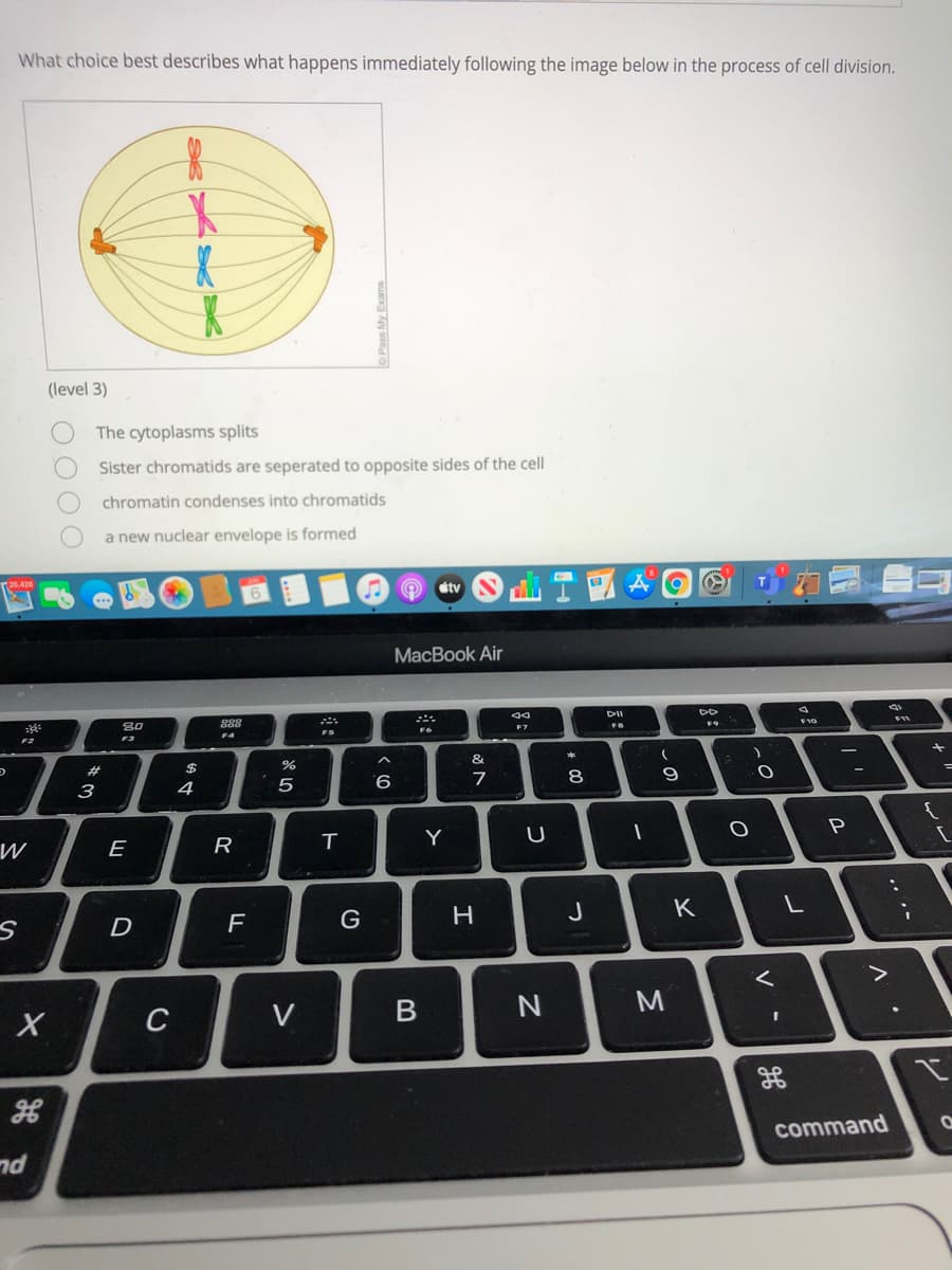 What choice best describes what happens immediately following the image below in the process of cell division.
(level 3)
The cytoplasms splits
Sister chromatids are seperated to opposite sides of the cell
chromatin condenses into chromatids
a new nuclear envelope is formed
stv
MacBook Air
DII
F10
80
F4
F3
&
#3
2$
7
8.
9
3
4
5
9.
P
Y
W
E
R
F
G
H
J
C
V
command
nd
.. .-
レ
V
* 00
