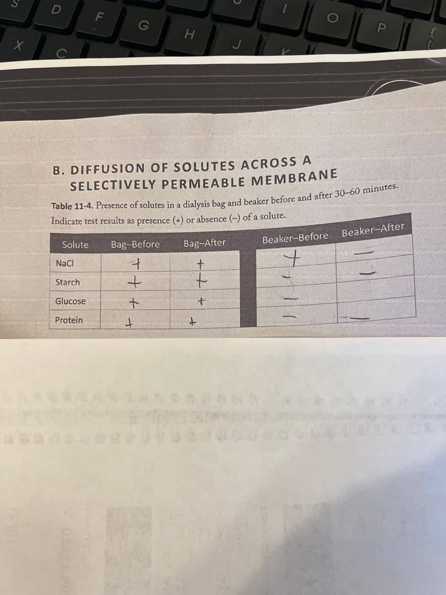 X
B. DIFFUSION OF SOLUTES ACROSS A
SELECTIVELY PERMEABLE MEMBRANE
NaCl
F
Table 11-4. Presence of solutes in a dialysis bag and beaker before and after 30-60 minutes.
Indicate test results as presence (+) or absence (-) of a solute.
Solute
Bag-Before
Starch
Glucose
Protein
DELCE
H
+
+
+
Bag-After
+
+
+
+
Beaker-Before
Beaker-After